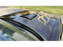 1977 Pontiac Firebird Trans Am SE (CC-2104024) for sale in Milford, Ohio