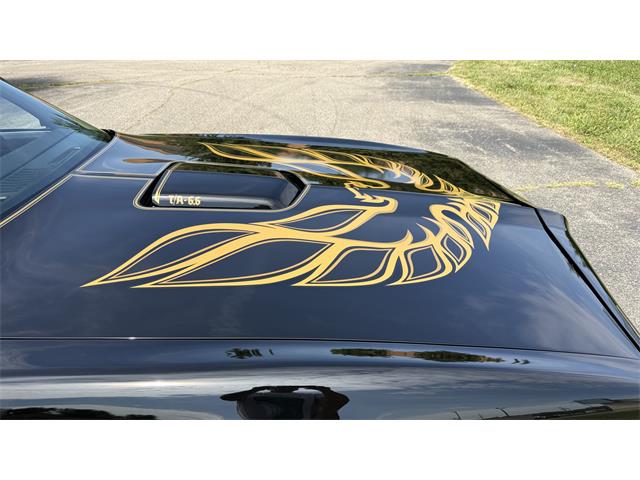 1977 Pontiac Firebird Trans Am SE (CC-2104024) for sale in Milford, Ohio