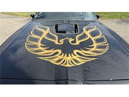 1977 Pontiac Firebird Trans Am SE (CC-2104024) for sale in Milford, Ohio