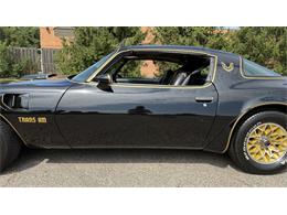 1977 Pontiac Firebird Trans Am SE (CC-2104024) for sale in Milford, Ohio
