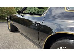 1977 Pontiac Firebird Trans Am SE (CC-2104024) for sale in Milford, Ohio