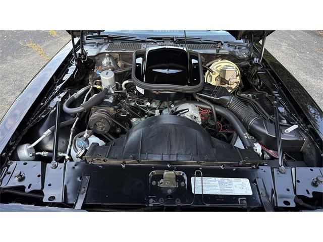1977 Pontiac Firebird Trans Am SE (CC-2104024) for sale in Milford, Ohio