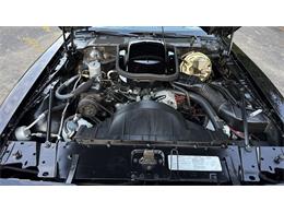 1977 Pontiac Firebird Trans Am SE (CC-2104024) for sale in Milford, Ohio