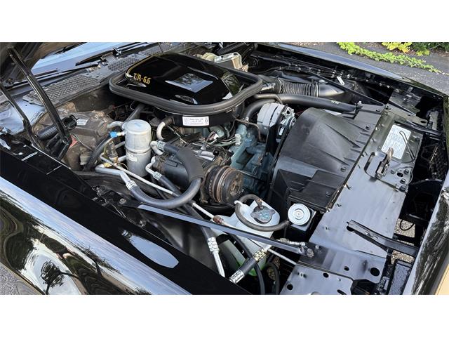 1977 Pontiac Firebird Trans Am SE (CC-2104024) for sale in Milford, Ohio