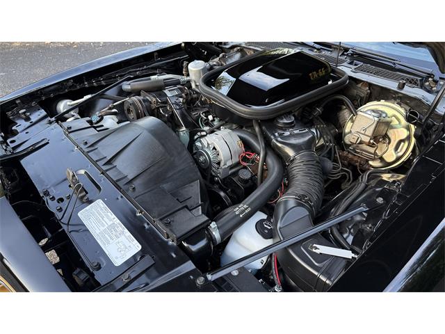1977 Pontiac Firebird Trans Am SE (CC-2104024) for sale in Milford, Ohio