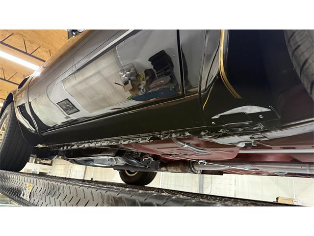 1977 Pontiac Firebird Trans Am SE (CC-2104024) for sale in Milford, Ohio