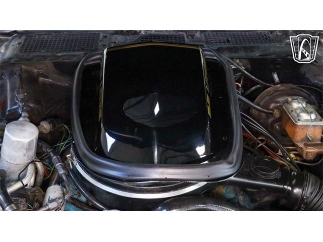 1979 Pontiac Firebird Trans Am (CC-2104075) for sale in New Braundfels, Texas