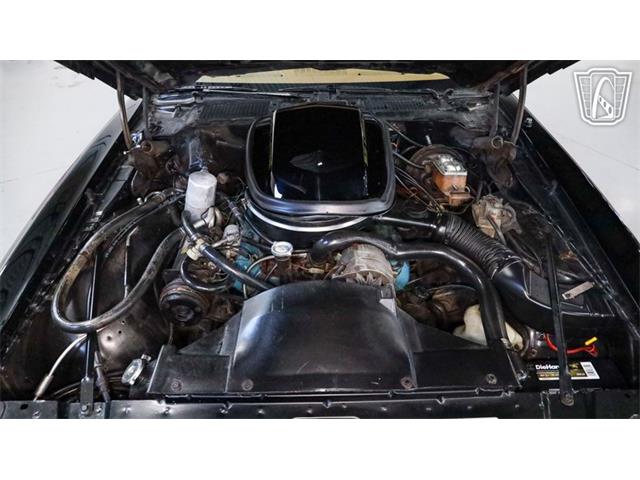 1979 Pontiac Firebird Trans Am (CC-2104075) for sale in New Braundfels, Texas