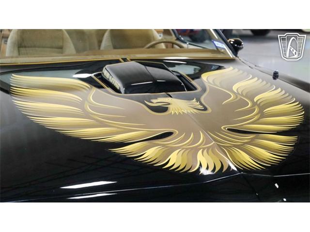 1979 Pontiac Firebird Trans Am (CC-2104075) for sale in New Braundfels, Texas
