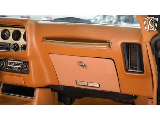 1979 Pontiac Firebird Trans Am (CC-2104075) for sale in New Braundfels, Texas