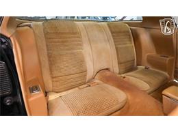 1979 Pontiac Firebird Trans Am (CC-2104075) for sale in New Braundfels, Texas