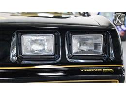 1979 Pontiac Firebird Trans Am (CC-2104075) for sale in New Braundfels, Texas