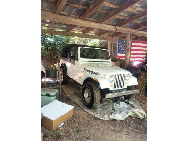 1984 Jeep CJ7 (CC-2104084) for sale in Cadillac, Michigan