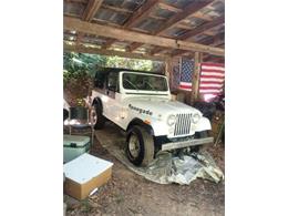 1984 Jeep CJ7 (CC-2104084) for sale in Cadillac, Michigan