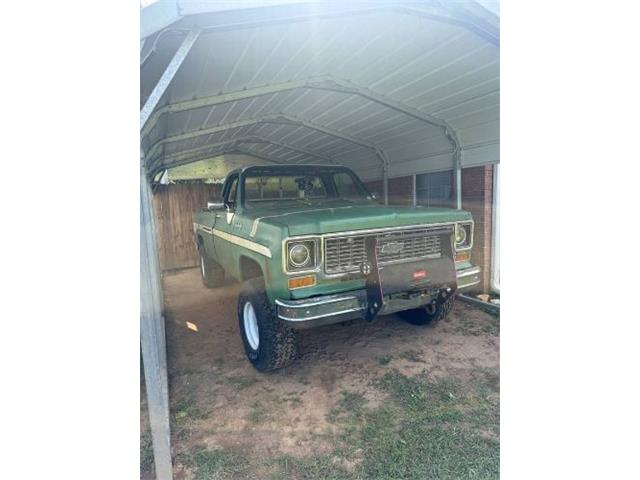 1974 Chevrolet Custom (CC-2104089) for sale in Cadillac, Michigan