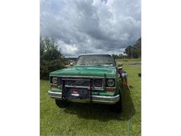 1974 Chevrolet Custom (CC-2104089) for sale in Cadillac, Michigan