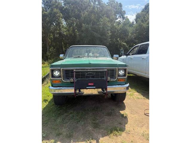 1974 Chevrolet Custom (CC-2104089) for sale in Cadillac, Michigan