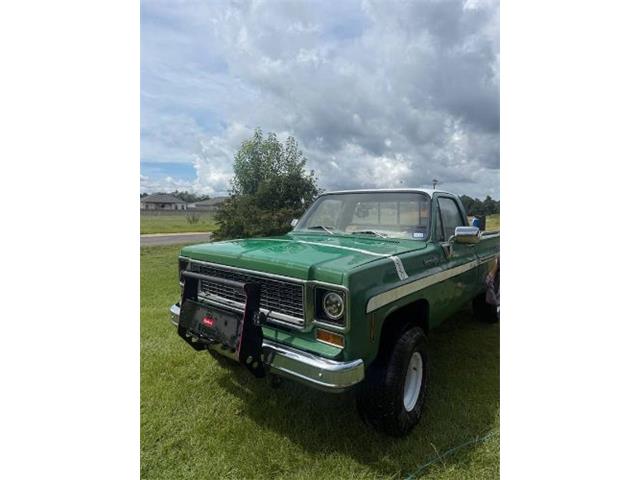1974 Chevrolet Custom (CC-2104089) for sale in Cadillac, Michigan