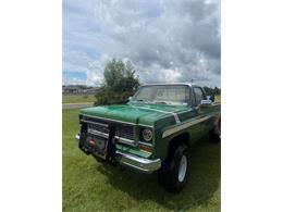 1974 Chevrolet Custom (CC-2104089) for sale in Cadillac, Michigan