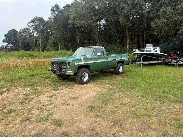 1974 Chevrolet Custom (CC-2104089) for sale in Cadillac, Michigan