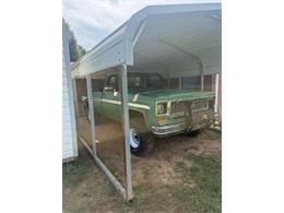 1974 Chevrolet Custom (CC-2104089) for sale in Cadillac, Michigan