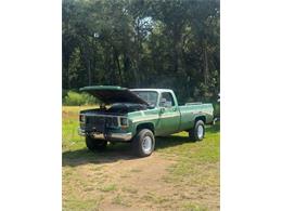 1974 Chevrolet Custom (CC-2104089) for sale in Cadillac, Michigan