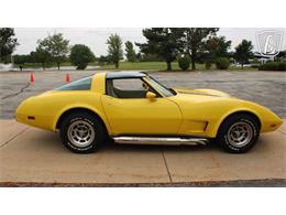 1979 Chevrolet Corvette (CC-2104096) for sale in Crete, Illinois