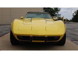 1979 Chevrolet Corvette (CC-2104096) for sale in Crete, Illinois