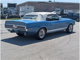 1968 Shelby GT500KR (CC-2104114) for sale in Palmetto, Florida