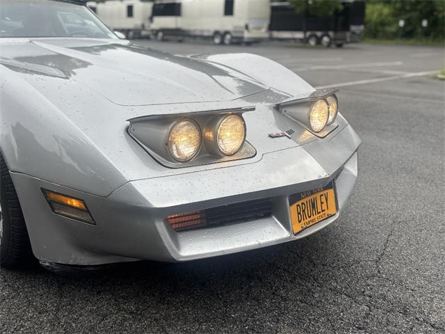 1980 Chevrolet Corvette (CC-2104122) for sale in Saratoga Springs, New York