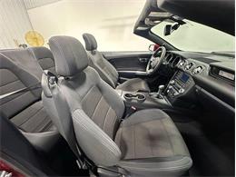 2015 Ford Mustang (CC-2104131) for sale in Depew, New York