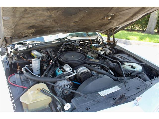 1984 Cadillac Limousine (CC-2104145) for sale in Sarasota, Florida