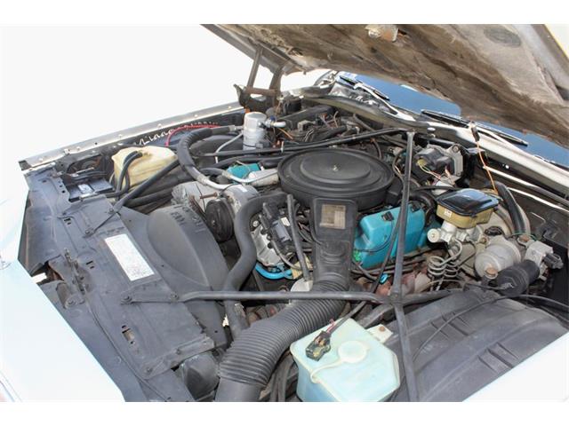 1984 Cadillac Limousine (CC-2104145) for sale in Sarasota, Florida