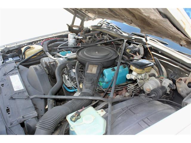 1984 Cadillac Limousine (CC-2104145) for sale in Sarasota, Florida