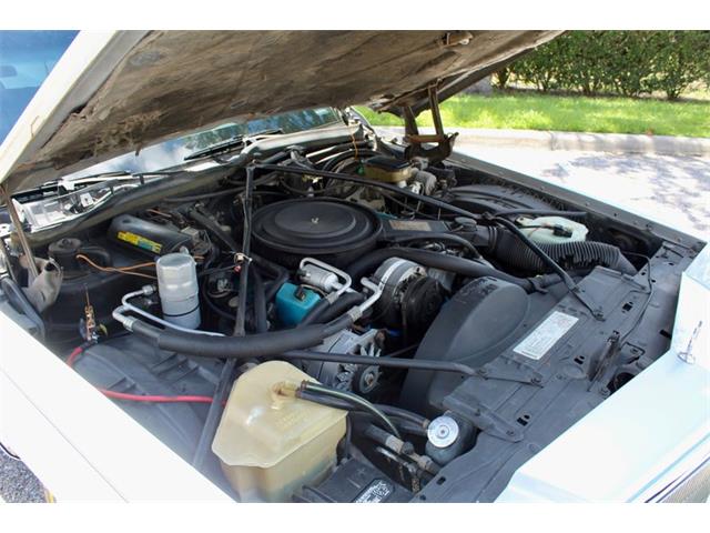 1984 Cadillac Limousine (CC-2104145) for sale in Sarasota, Florida