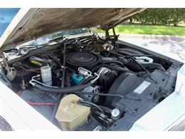1984 Cadillac Limousine (CC-2104145) for sale in Sarasota, Florida
