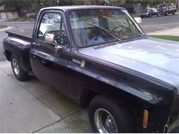 1979 Chevrolet Scottsdale (CC-2100417) for sale in Cadillac, Michigan