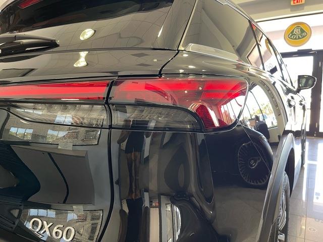 2025 Infiniti QX60 (CC-2104180) for sale in Jacksonville, Florida
