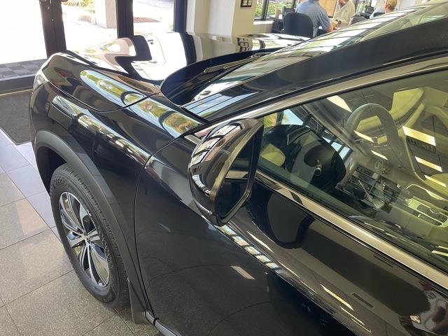 2025 Infiniti QX60 (CC-2104180) for sale in Jacksonville, Florida
