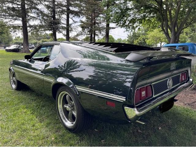 1971 Ford Mustang (CC-2100420) for sale in Cadillac, Michigan