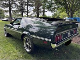 1971 Ford Mustang (CC-2100420) for sale in Cadillac, Michigan