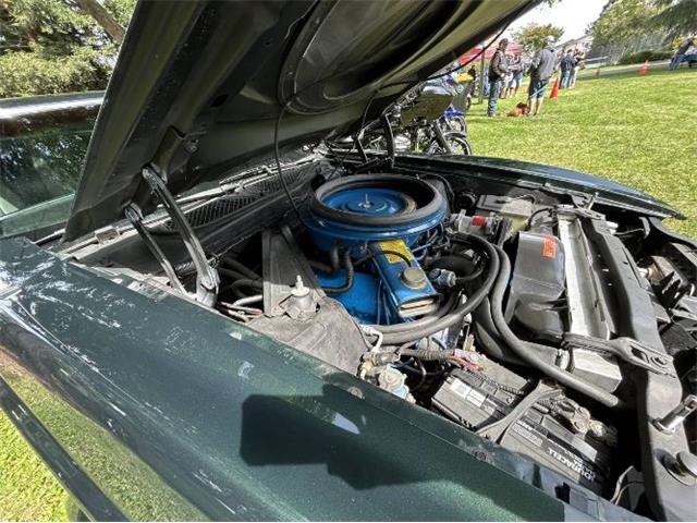 1971 Ford Mustang (CC-2100420) for sale in Cadillac, Michigan