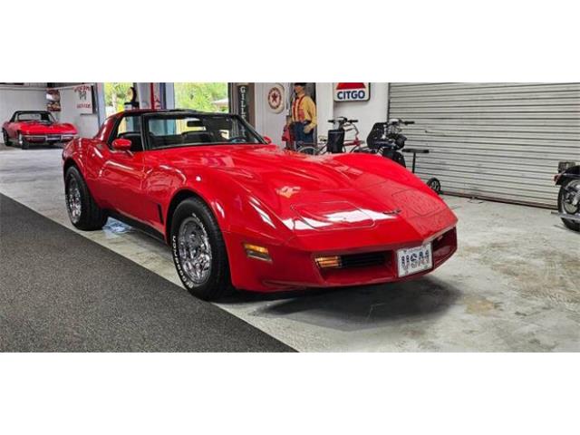 1981 Chevrolet Corvette (CC-2100421) for sale in Cadillac, Michigan