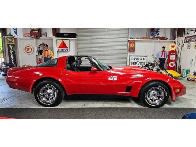 1981 Chevrolet Corvette (CC-2100421) for sale in Cadillac, Michigan