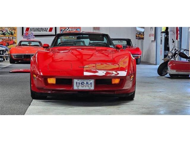 1981 Chevrolet Corvette (CC-2100421) for sale in Cadillac, Michigan