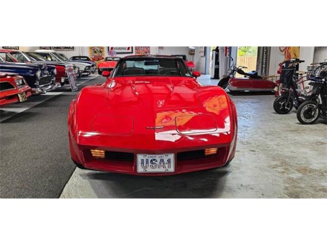 1981 Chevrolet Corvette (CC-2100421) for sale in Cadillac, Michigan