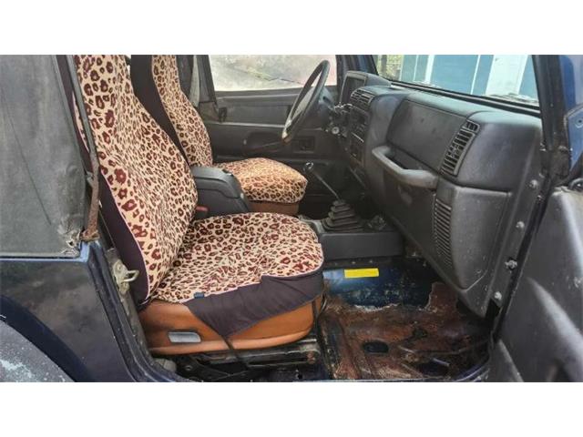2002 Jeep Wrangler (CC-2100422) for sale in Cadillac, Michigan