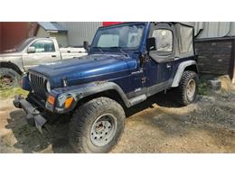 2002 Jeep Wrangler (CC-2100422) for sale in Cadillac, Michigan