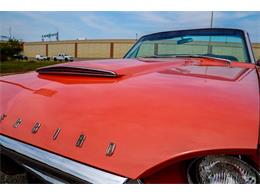1964 Ford Thunderbird (CC-2100434) for sale in Ramsey, Minnesota