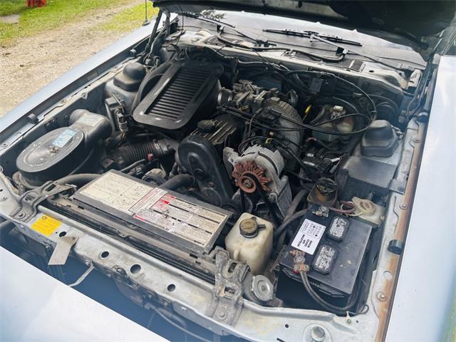 1987 Ford Thunderbird (CC-2100436) for sale in Saratoga Springs, New York